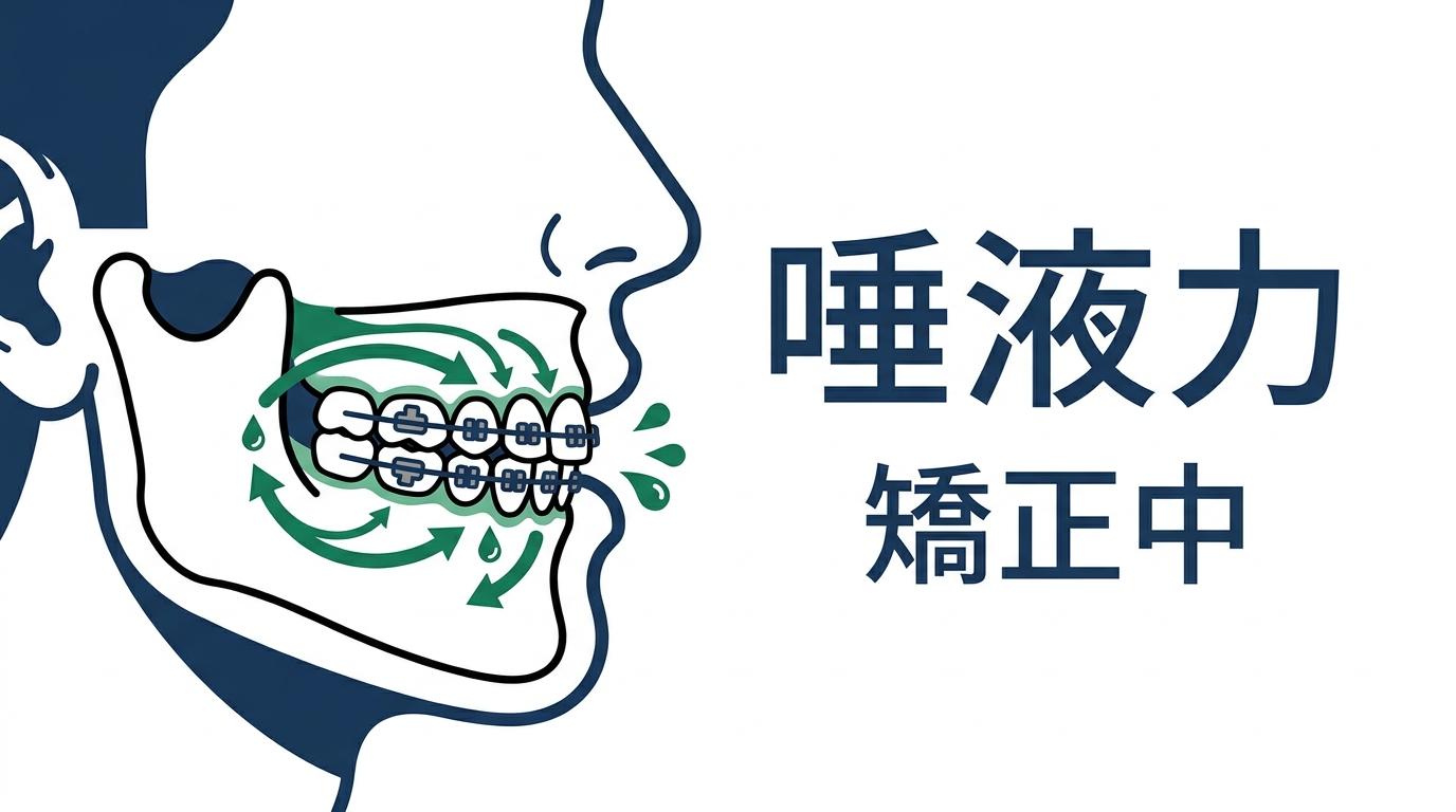 大人の矯正治療と「唾液」の知られざる関係の図解