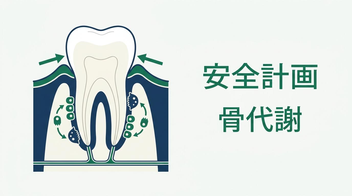 大人の矯正と歯根吸収のリスクとは?の図解