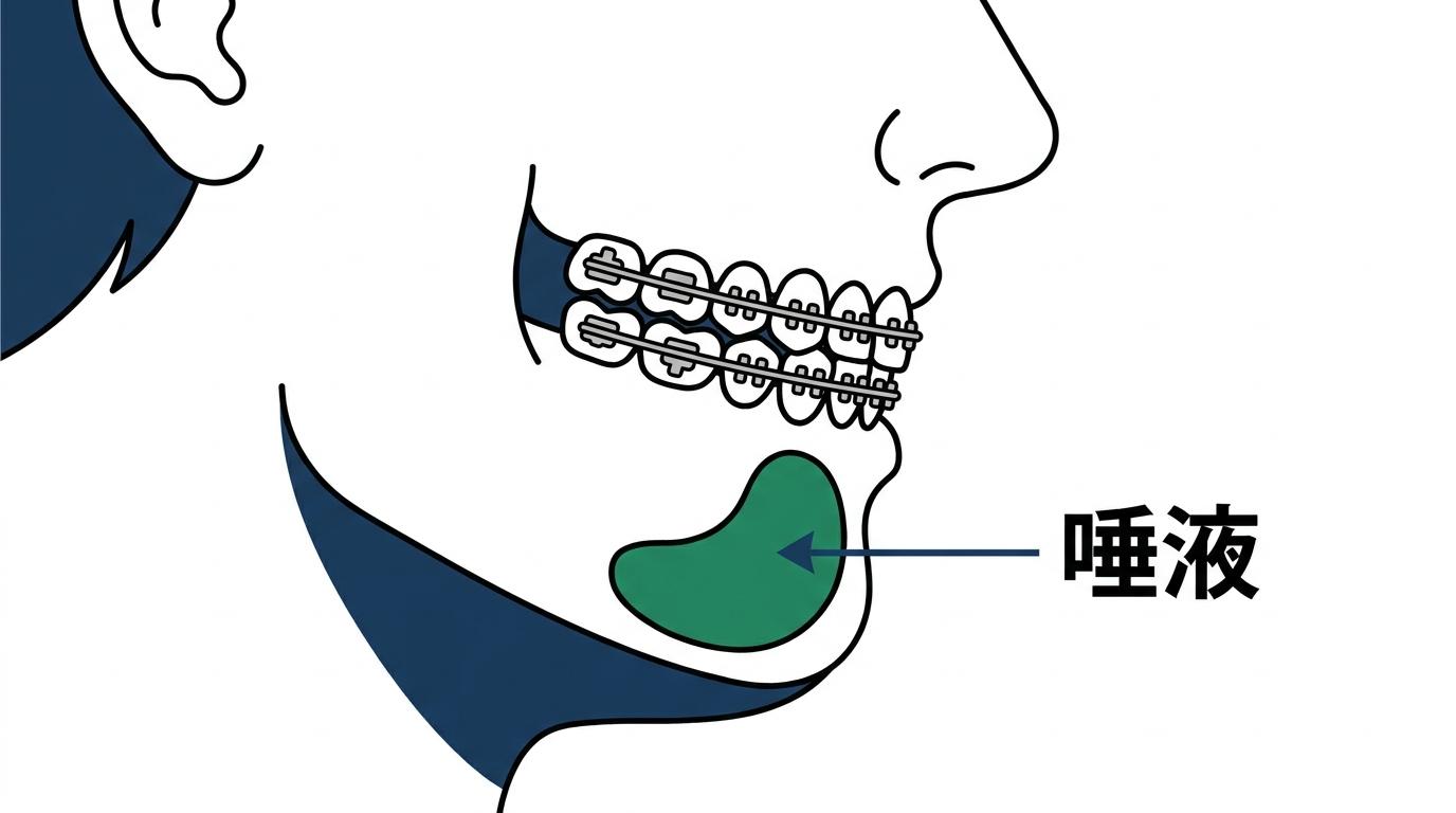矯正中に唾液が減りやすくなる理由の図解