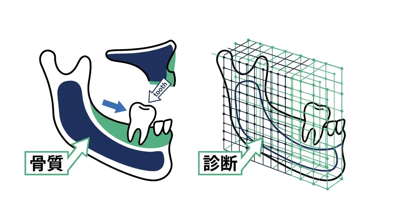 骨質が安全な歯牙移動と治療期間に与える影響の図解